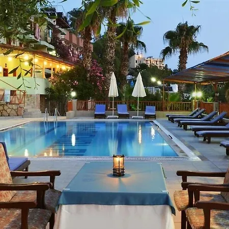 Patara Delfin 2* Kaş