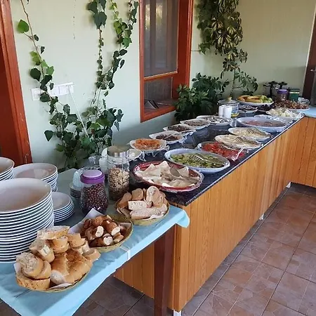 Patara Delfin 2* Kaş